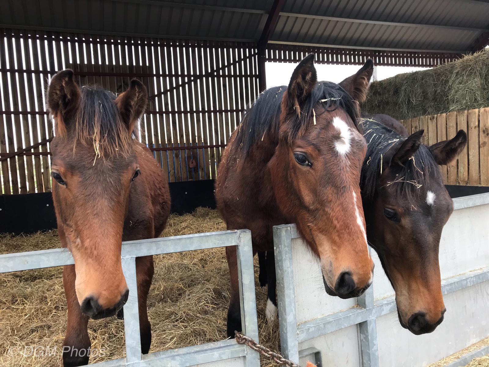 d14263bb-cdae-4249-9f7f-b908208fcee5