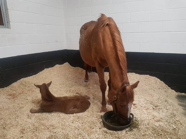 d2f0e68c-dfc8-4807-bc05-d176cefed3f0